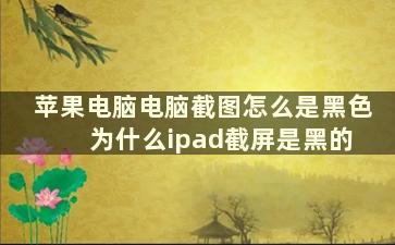 苹果电脑电脑截图怎么是黑色 为什么ipad截屏是黑的